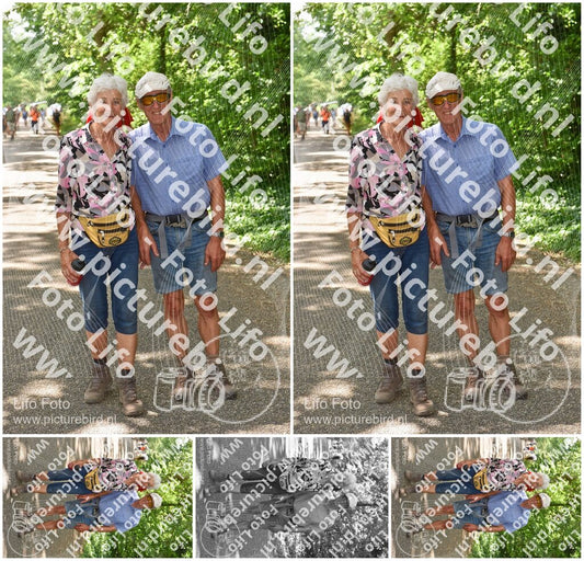 Evenement foto: 856