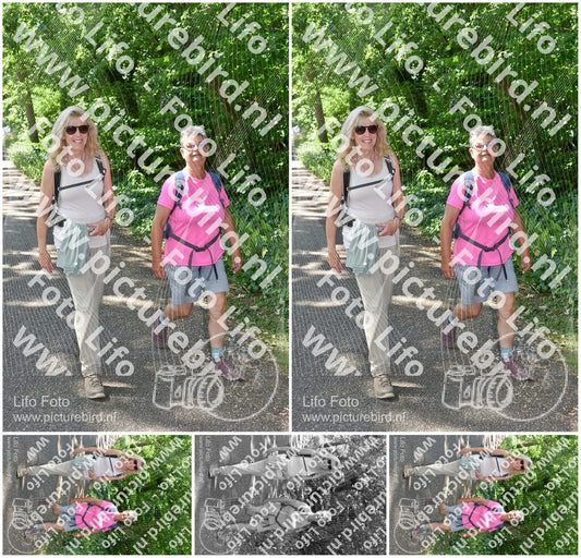 Evenement foto: 856
