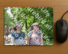 Evenement foto: 855