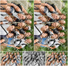 Evenement foto: 855