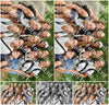 Evenement foto: 855