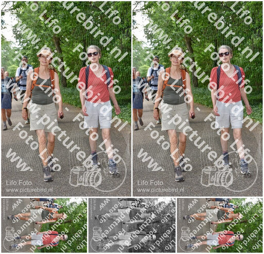 Evenement foto: 855
