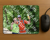 Evenement foto: 854