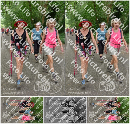 Evenement foto: 853