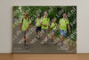 Evenement foto: 853