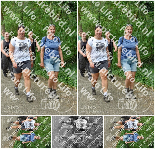Evenement foto: 853