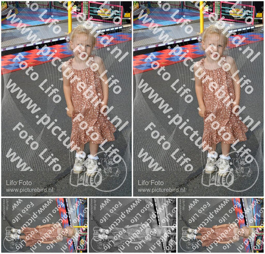 Evenement foto: 735