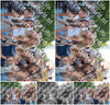 Evenement foto: 735