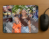 Evenement foto: 735