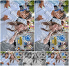 Evenement foto: 734