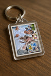 Evenement foto: 734