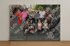 Evenement foto: 734
