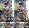 Evenement foto: 733