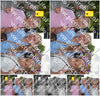 Evenement foto: 733