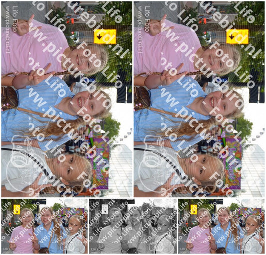 Evenement foto: 733