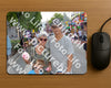 Evenement foto: 732