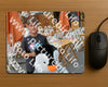 Evenement foto: 732