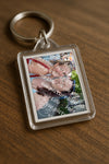 Evenement foto: 732