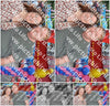 Evenement foto: 731