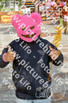 Evenement foto: 731