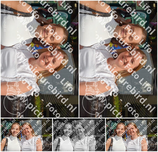 Evenement foto: 731