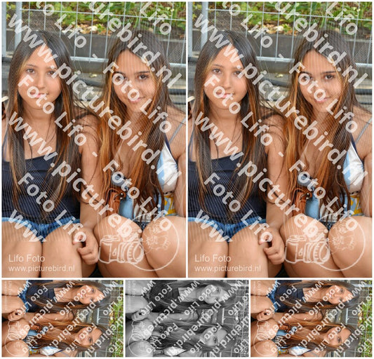 Evenement foto: 731
