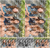 Evenement foto: 731