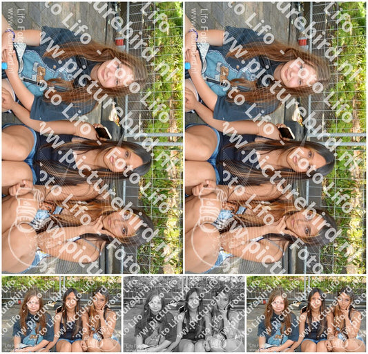 Evenement foto: 731