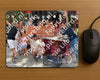 Evenement foto: 617