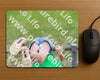 Evenement foto: 905