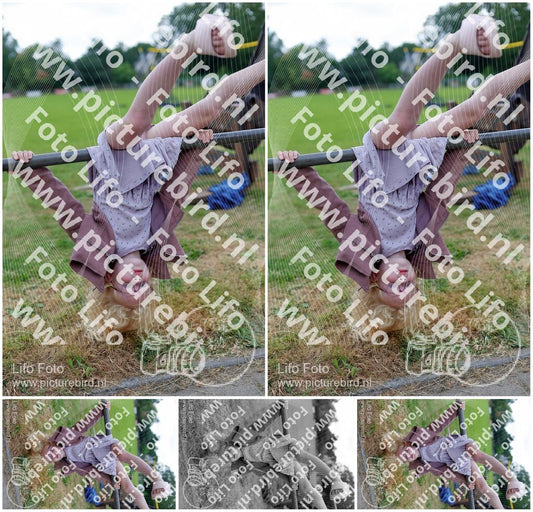 Evenement foto: 905