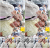 Evenement foto: 904