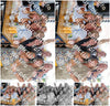 Evenement foto: 904