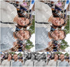 Evenement foto: 902