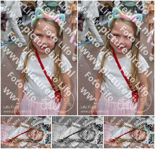 Evenement foto: 901