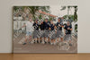 Evenement foto: 899