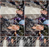 Evenement foto: 622
