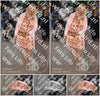 Evenement foto: 621
