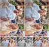 Evenement foto: 403