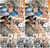 Evenement foto: 403