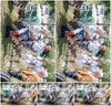 Evenement foto: 906