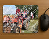 Evenement foto: 906