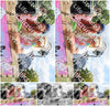 Evenement foto: 907
