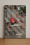 Evenement foto: 2642