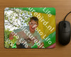 Evenement foto: 2642