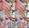 Evenement foto: 639