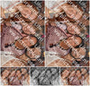 Evenement foto: 639