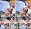 Evenement foto: 638