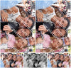 Evenement foto: 636