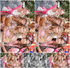 Evenement foto: 636